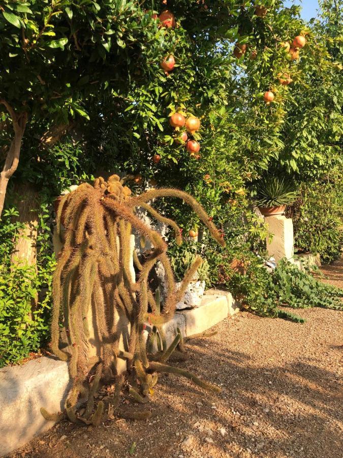 Giardino Frannicola Hotell Maglie Exteriör bild